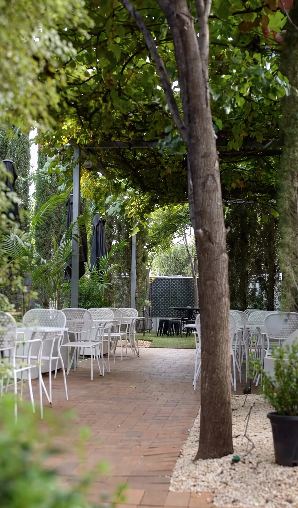 The garden path with terracotta pavers and leafy canopy